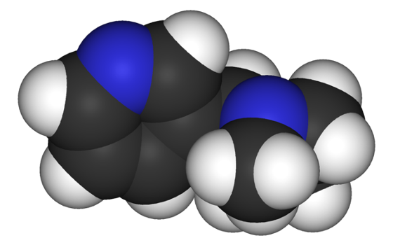 Nicotine 3D view